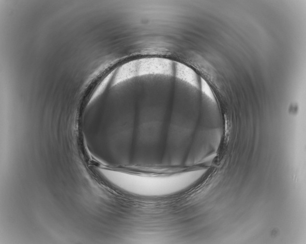 X0000093740348200711131107
