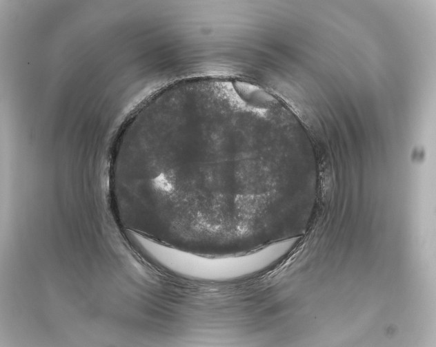 X0000093740350200711131107