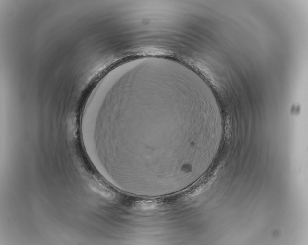 X0000093740351200711131107