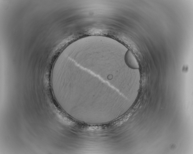 X0000093740353200711131107