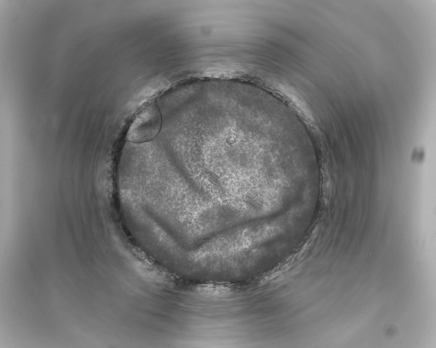 X0000093740354200711131107