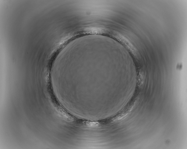 X0000093740355200711131107