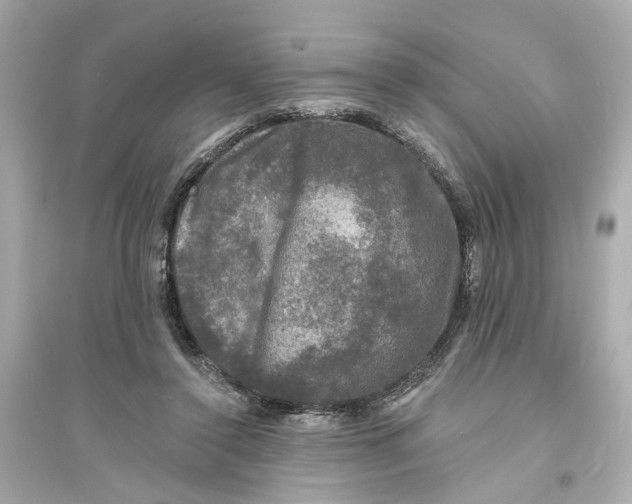 X0000093740356200711131107