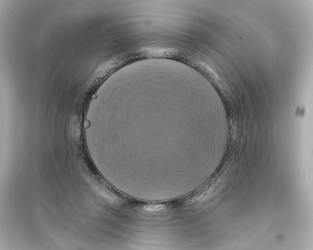 X0000093740357200711131107