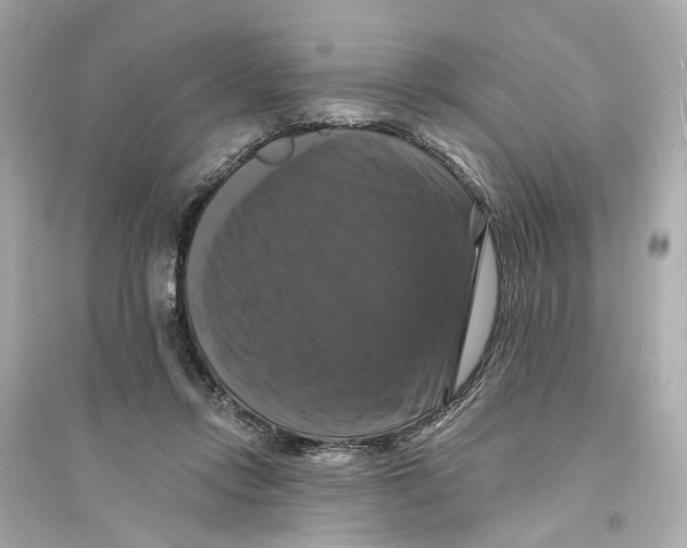 X0000093740358200711131107