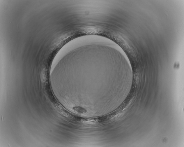 X0000093740359200711131107