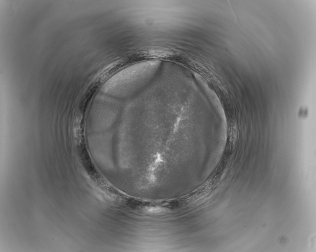 X0000093740360200711131107