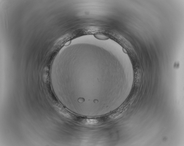 X0000093740361200711131107