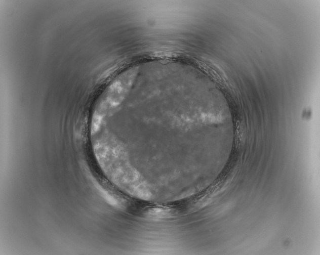 X0000093740364200711131107