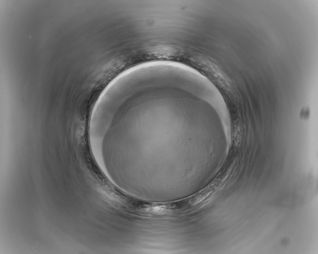 X0000093740365200711131107