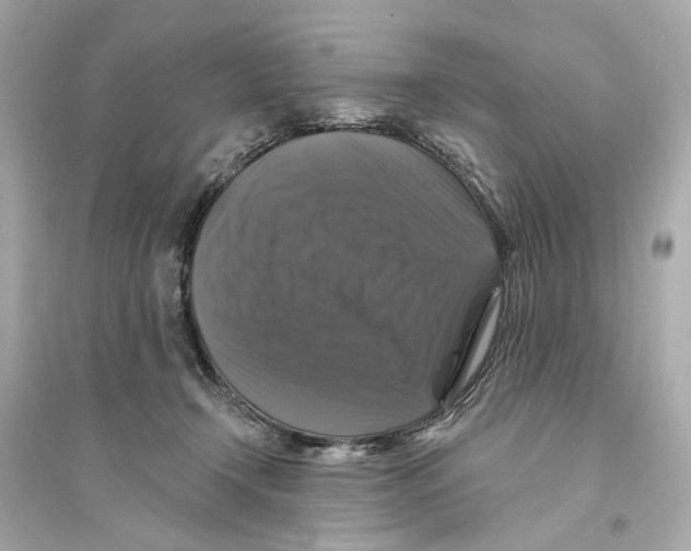 X0000093740366200711131107