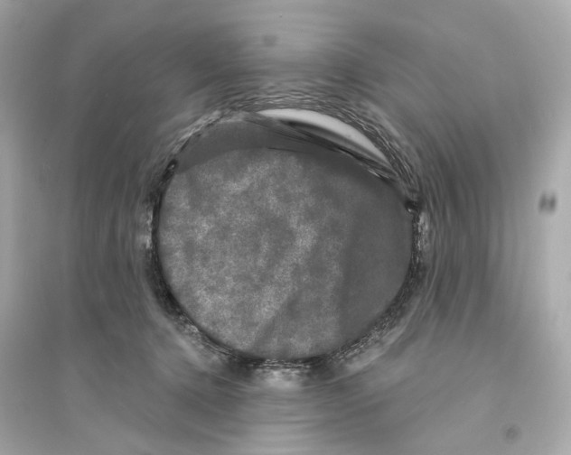 X0000093740368200711131107