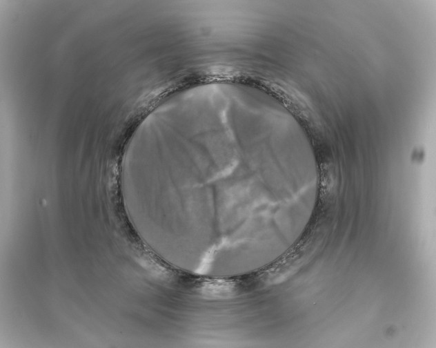 X0000093740369200711131107