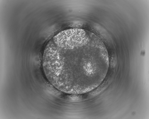 X0000093740370200711131107