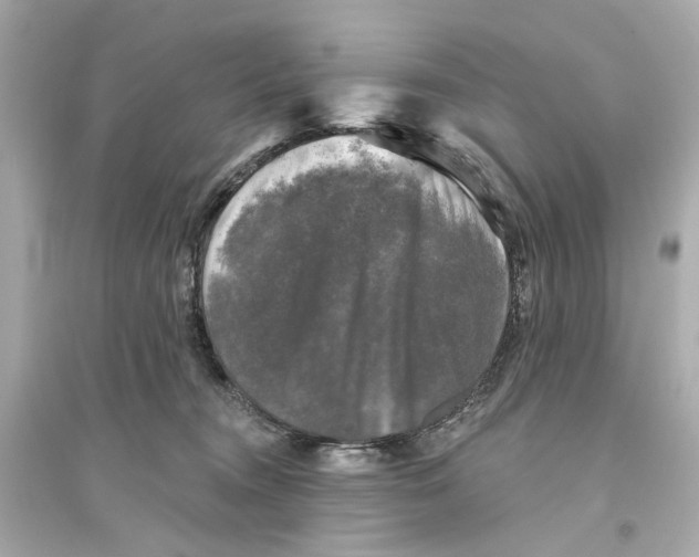 X0000093740372200711131107