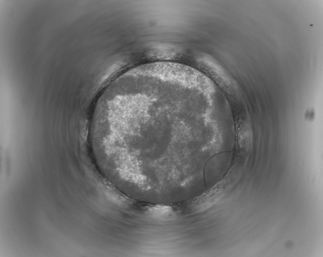 X0000093740374200711131107
