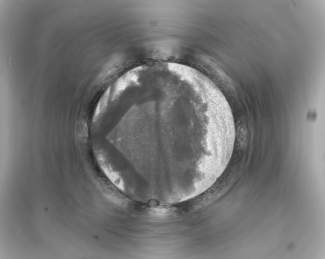 X0000093740375200711131107