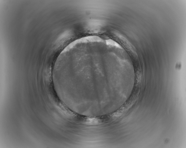 X0000093740376200711131107