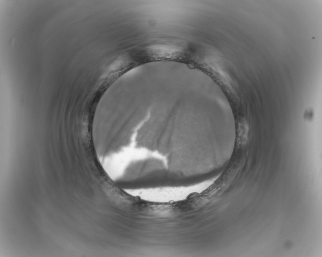 X0000093740377200711131107