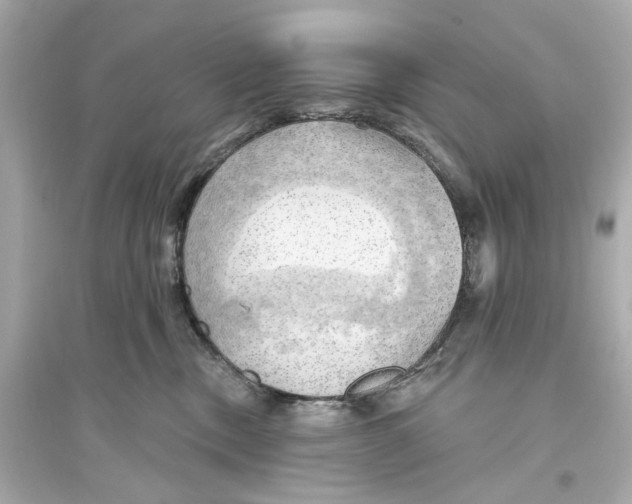 X0000093740378200711131107