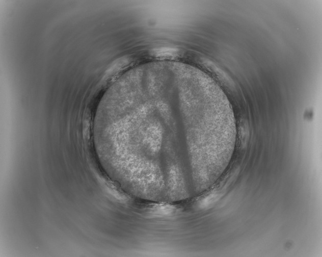 X0000093740379200711131107