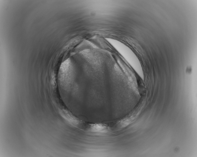 X0000093740380200711131107