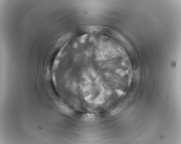 X0000093740381200711131107