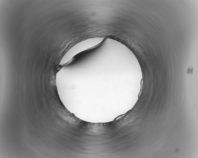 X0000093740384200711131107