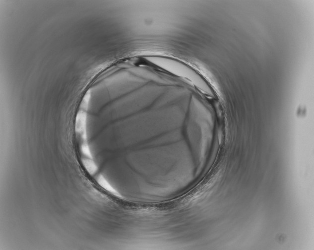 X0000093740385200711131107