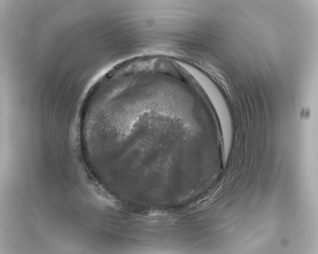X0000093740388200711131107