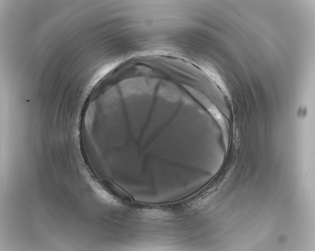 X0000093740389200711131107