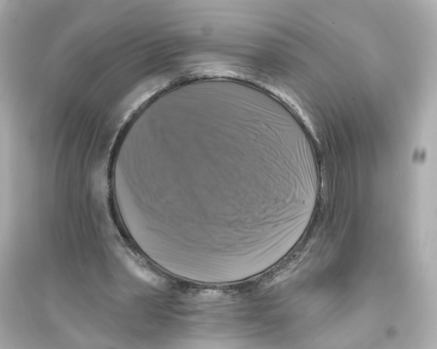 X0000093740390200711131107