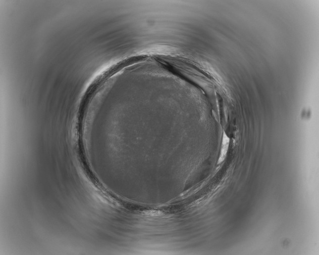 X0000093740392200711131107
