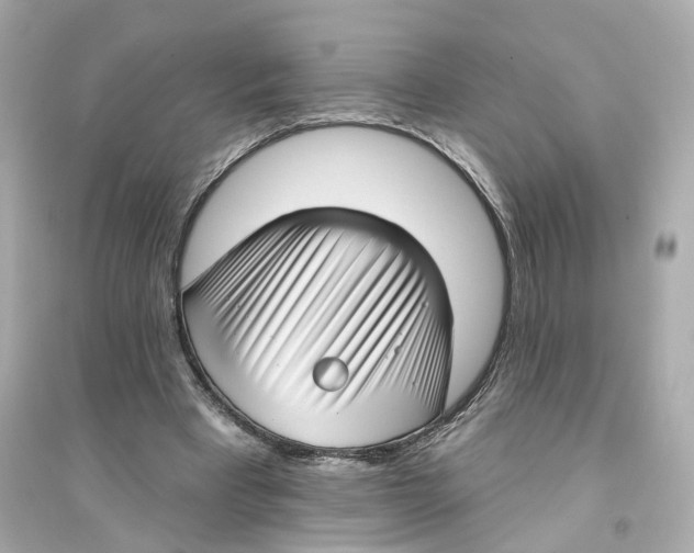 X0000093740393200711131107