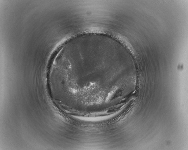 X0000093740395200711131106