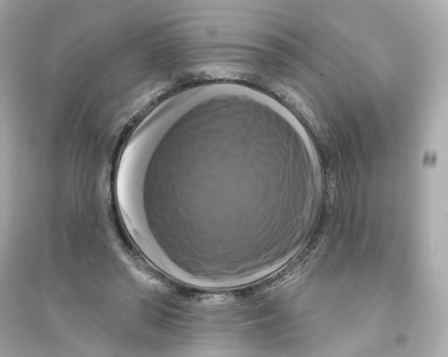 X0000093740398200711131106
