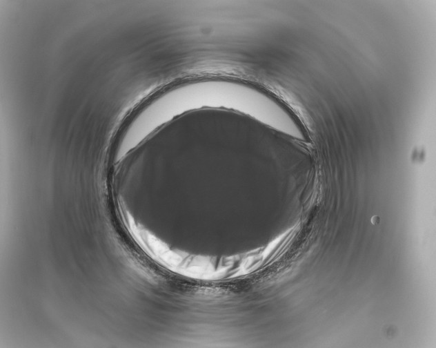 X0000093740399200711131106