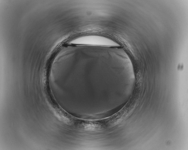 X0000093740400200711131106