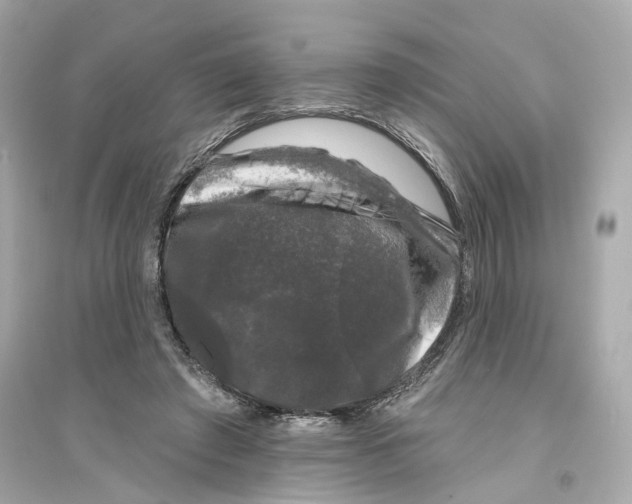 X0000093740401200711131106