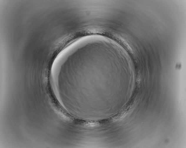 X0000093740402200711131106