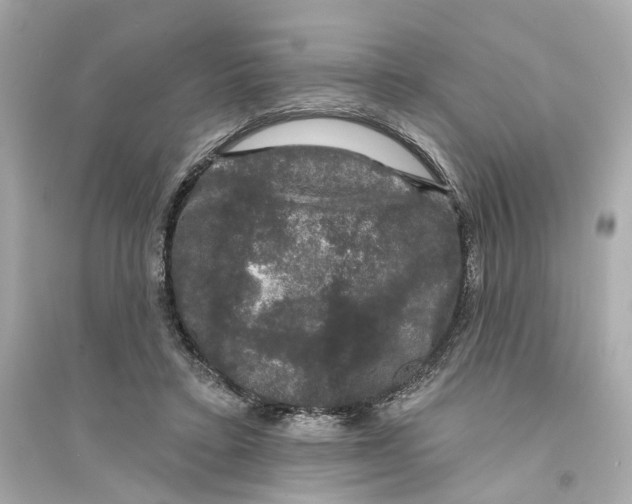 X0000093740403200711131106
