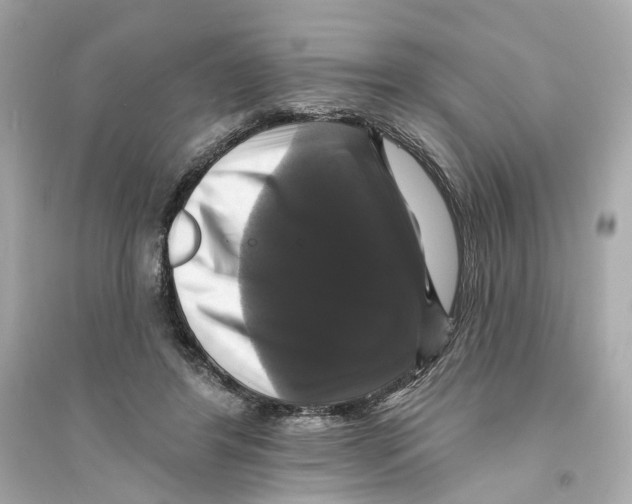 X0000093740404200711131106