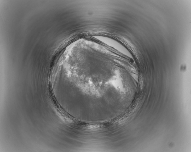 X0000093740405200711131106