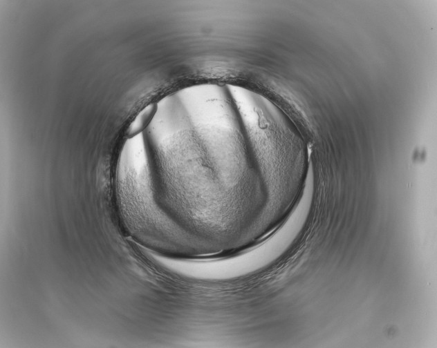 X0000093740407200711131106