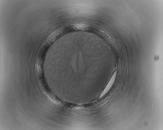 X0000093740408200711131106