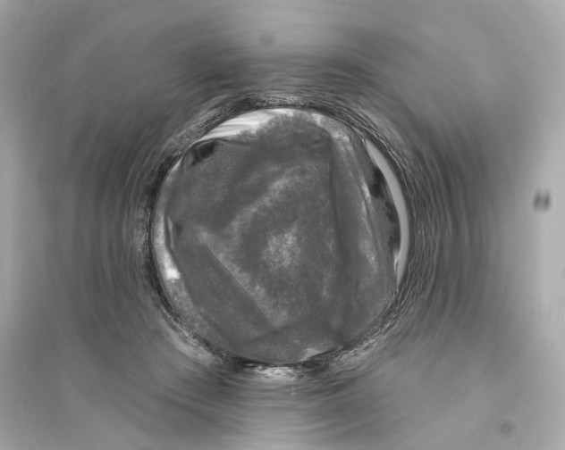X0000093740409200711131106