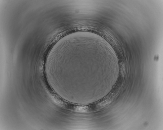 X0000093740410200711131106