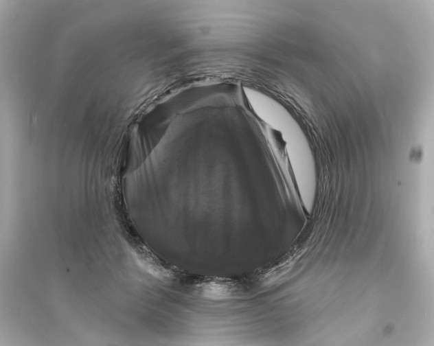 X0000093740412200711131106