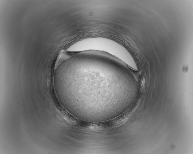X0000093740416200711131106