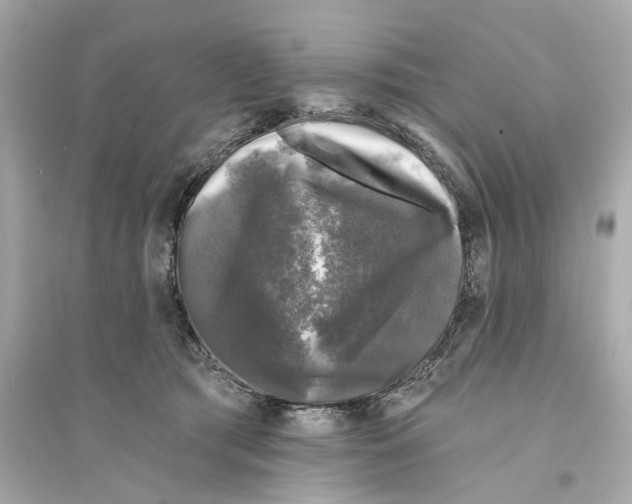 X0000093740417200711131106